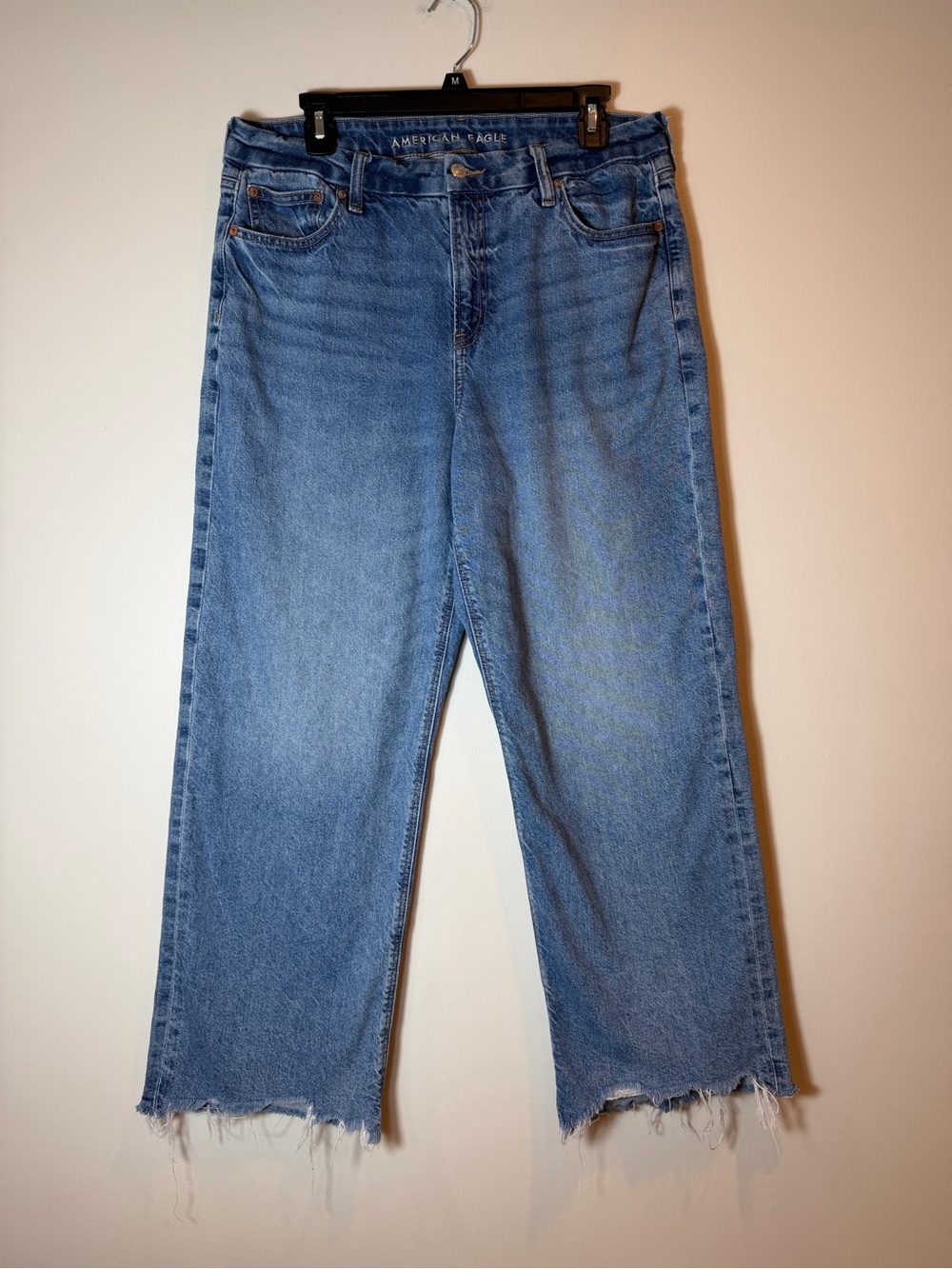 American Eagle Strigid Curvy Stovepipe Jeans Size 12 Frayed Hem